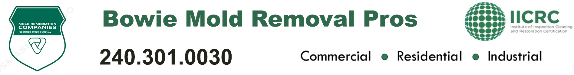 Bowie Mold Removal Pros